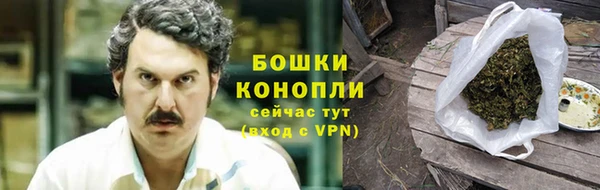 гидра Наволоки