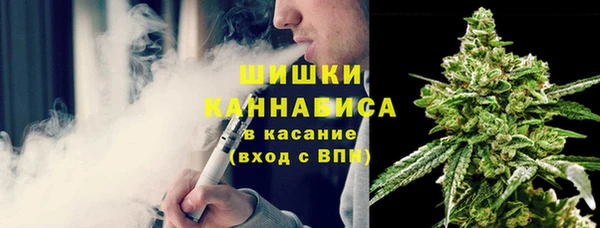 гидра Наволоки