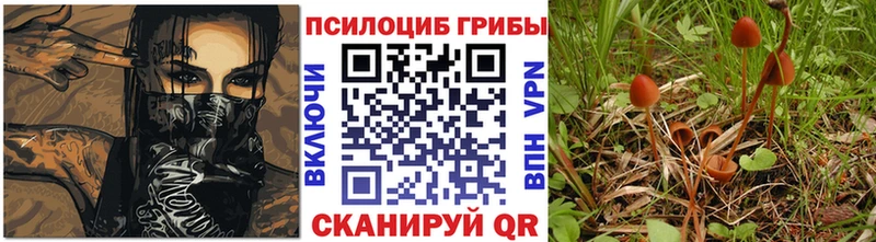 Псилоцибиновые грибы прущие грибы  Купить  Луховицы 