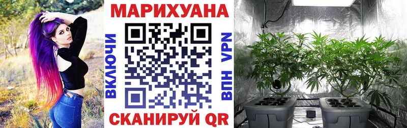 Бошки Шишки Ganja  Купить где  Луховицы 